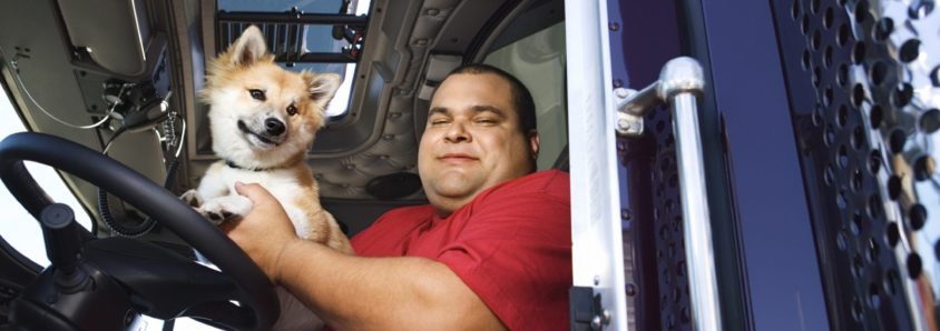 Trucking Companies that Allow Pets