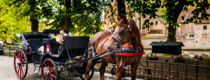 Insurance for Horse-Drawn Carriage Rides