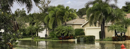 florida property insurance market