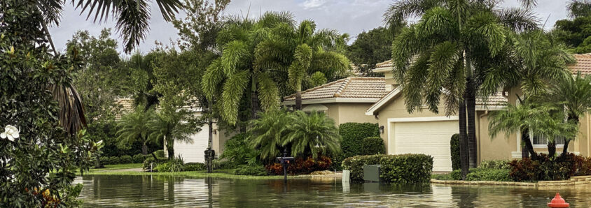 florida property insurance market