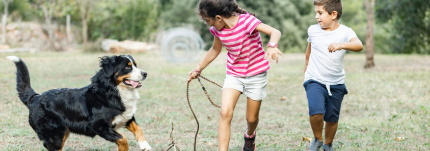 Parenting and Dogs Creating a Safe Environment for Children